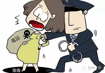 2016年初，涉縣警方查獲一起涉毒案件，鑒于該案涉案人員多、毒品交易量大，涉縣警方立即將案情上報(bào)，被公安部確立為“目標(biāo)-2016-314”號(hào)毒品案件。涉縣警方成立專(zhuān)案組，經(jīng)過(guò)多方追查，先后抓獲團(tuán)伙人員13名，繳獲毒品5349克，并查明上線“濮姐”的真實(shí)身份為陳某。